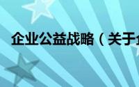 企业公益战略（关于企业公益战略的简介）
