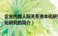 企业内部人际关系资本化研究（关于企业内部人际关系资本化研究的简介）