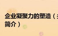 企业凝聚力的塑造（关于企业凝聚力的塑造的简介）