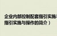企业内部控制配套指引实施与操作（关于企业内部控制配套指引实施与操作的简介）