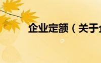 企业定额（关于企业定额的简介）