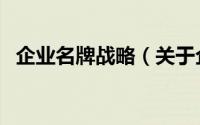企业名牌战略（关于企业名牌战略的简介）
