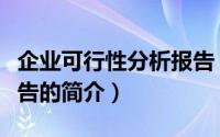 企业可行性分析报告（关于企业可行性分析报告的简介）