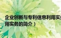 企业创新与专利信息利用实务（关于企业创新与专利信息利用实务的简介）