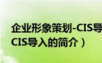 企业形象策划-CIS导入（关于企业形象策划-CIS导入的简介）