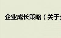 企业成长策略（关于企业成长策略的简介）