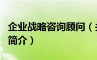 企业战略咨询顾问（关于企业战略咨询顾问的简介）