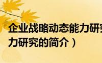 企业战略动态能力研究（关于企业战略动态能力研究的简介）