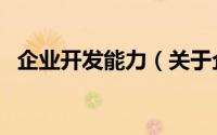 企业开发能力（关于企业开发能力的简介）