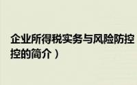 企业所得税实务与风险防控（关于企业所得税实务与风险防控的简介）