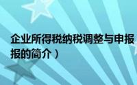 企业所得税纳税调整与申报（关于企业所得税纳税调整与申报的简介）