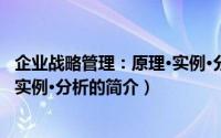 企业战略管理：原理·实例·分析（关于企业战略管理：原理·实例·分析的简介）