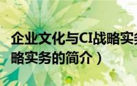 企业文化与CI战略实务（关于企业文化与CI战略实务的简介）