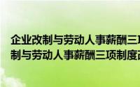 企业改制与劳动人事薪酬三项制度改革操作南（关于企业改制与劳动人事薪酬三项制度改革操作南的简介）