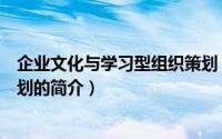 企业文化与学习型组织策划（关于企业文化与学习型组织策划的简介）