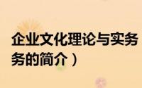 企业文化理论与实务（关于企业文化理论与实务的简介）
