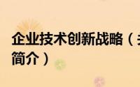 企业技术创新战略（关于企业技术创新战略的简介）