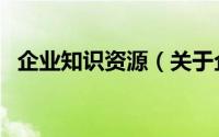 企业知识资源（关于企业知识资源的简介）