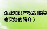 企业知识产权战略实务（关于企业知识产权战略实务的简介）
