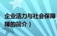企业活力与社会保障（关于企业活力与社会保障的简介）