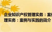 企业知识产权管理实务：案例与实践（关于企业知识产权管理实务：案例与实践的简介）