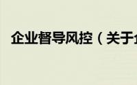 企业督导风控（关于企业督导风控的简介）