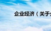 企业经济（关于企业经济的简介）