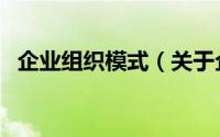 企业组织模式（关于企业组织模式的简介）