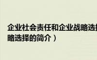 企业社会责任和企业战略选择（关于企业社会责任和企业战略选择的简介）