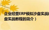 企业经营ERP模拟沙盘实战教程（关于企业经营ERP模拟沙盘实战教程的简介）