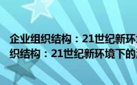 企业组织结构：21世纪新环境下的演进与发展（关于企业组织结构：21世纪新环境下的演进与发展的简介）