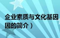 企业素质与文化基因（关于企业素质与文化基因的简介）