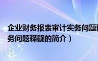 企业财务报表审计实务问题释疑（关于企业财务报表审计实务问题释疑的简介）
