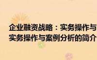 企业融资战略：实务操作与案例分析（关于企业融资战略：实务操作与案例分析的简介）