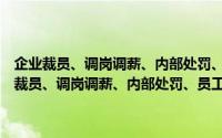 企业裁员、调岗调薪、内部处罚、员工离职风险防范与指导（关于企业裁员、调岗调薪、内部处罚、员工离职风险防范与指导的简介）