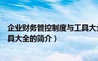 企业财务管控制度与工具大全（关于企业财务管控制度与工具大全的简介）