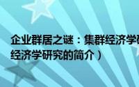 企业群居之谜：集群经济学研究（关于企业群居之谜：集群经济学研究的简介）