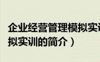 企业经营管理模拟实训（关于企业经营管理模拟实训的简介）