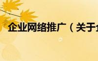 企业网络推广（关于企业网络推广的简介）