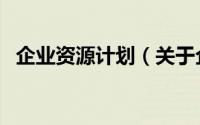 企业资源计划（关于企业资源计划的简介）