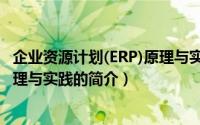 企业资源计划(ERP)原理与实践（关于企业资源计划(ERP)原理与实践的简介）
