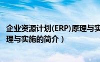 企业资源计划(ERP)原理与实施（关于企业资源计划(ERP)原理与实施的简介）
