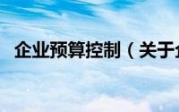 企业预算控制（关于企业预算控制的简介）