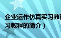 企业运作仿真实习教程（关于企业运作仿真实习教程的简介）