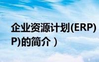 企业资源计划(ERP)（关于企业资源计划(ERP)的简介）