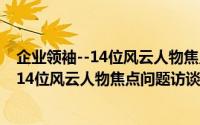 企业领袖--14位风云人物焦点问题访谈录（关于企业领袖--14位风云人物焦点问题访谈录的简介）
