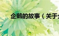 企鹅的故事（关于企鹅的故事的简介）