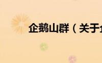 企鹅山群（关于企鹅山群的简介）