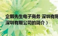 企鹅先生电子商务 深圳有限公司（关于企鹅先生电子商务 深圳有限公司的简介）