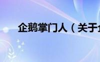 企鹅掌门人（关于企鹅掌门人的简介）